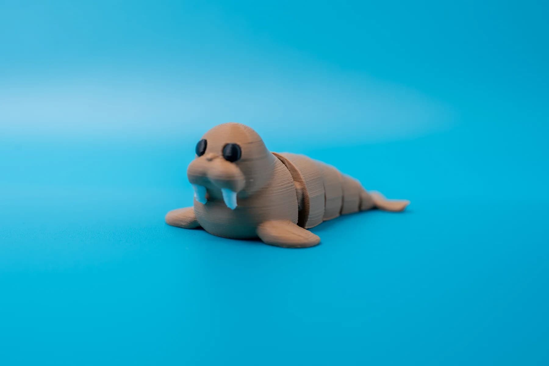 Spoolio animaux banquise 40