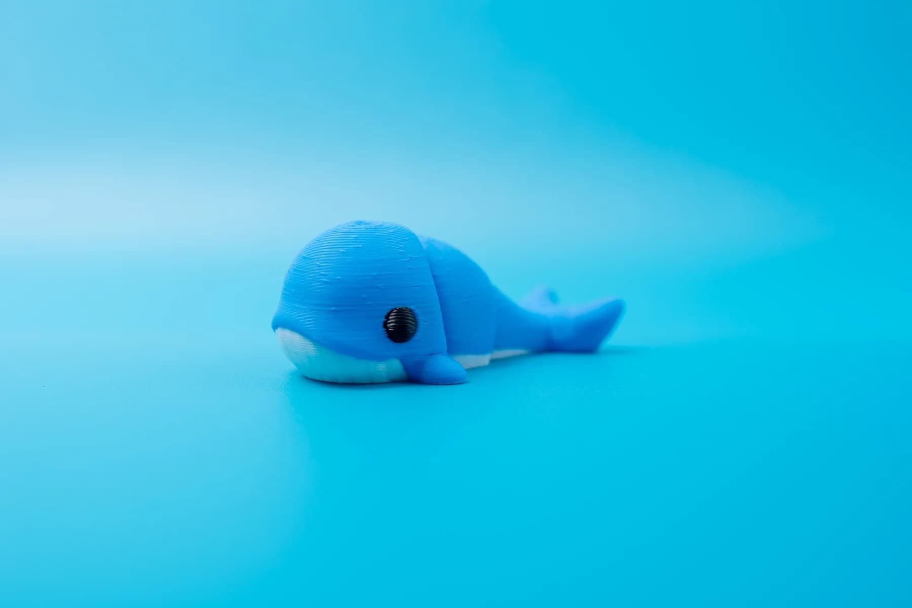 Spoolio animaux banquise 43