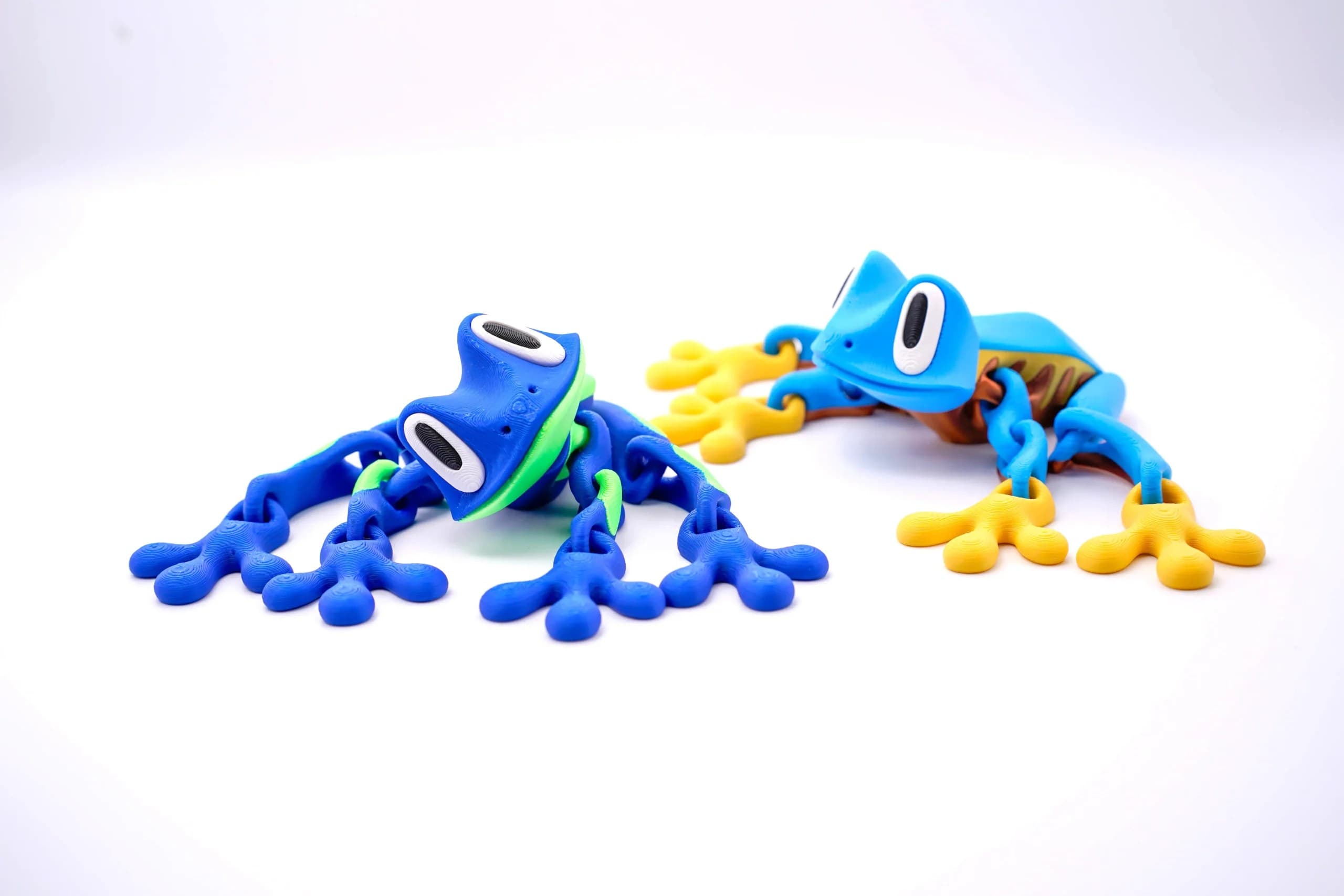 grenouille articulée