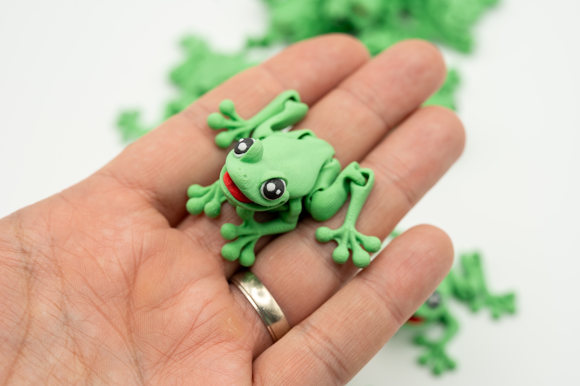 Spollio Grenouille aimantee 3