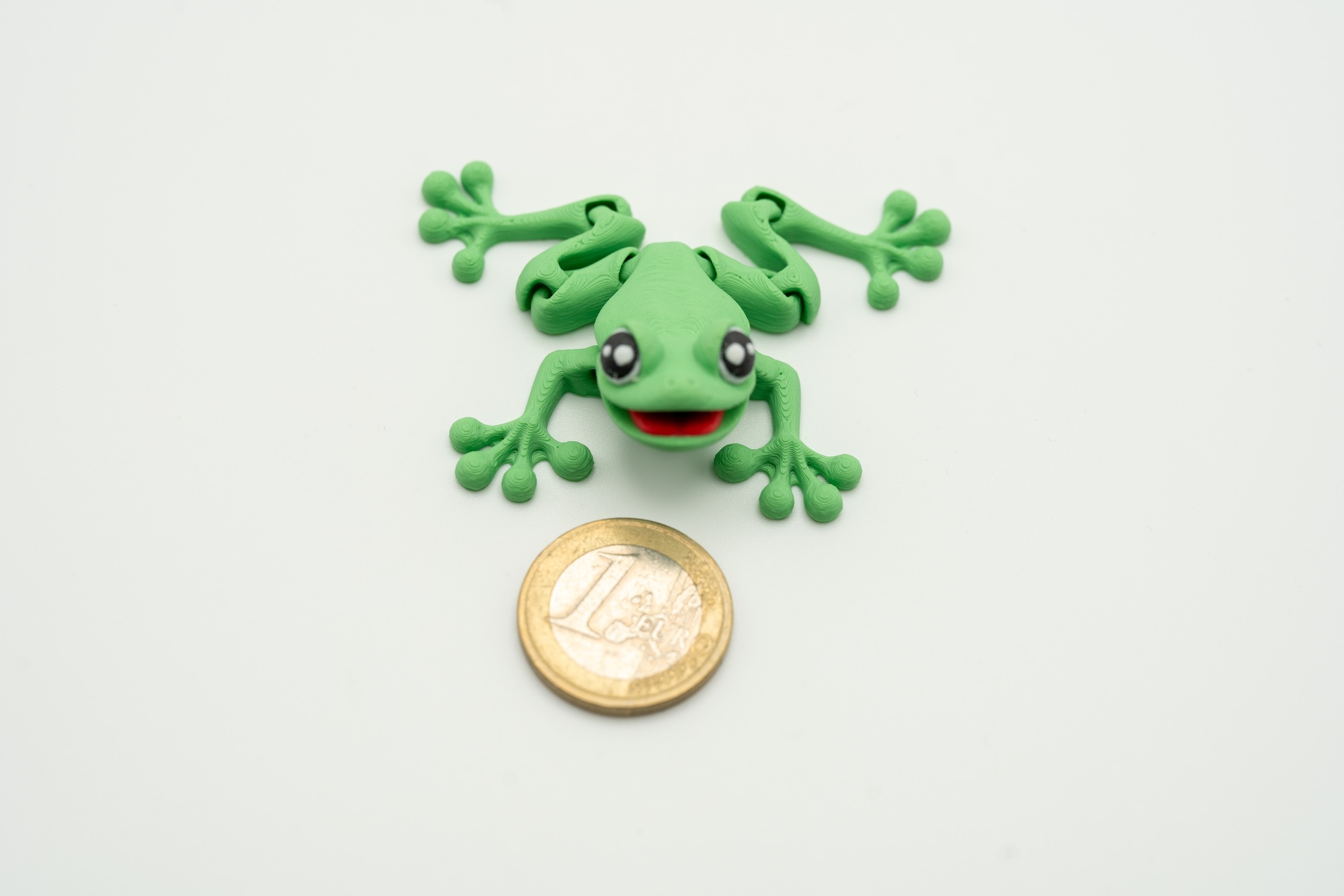 Spollio Grenouille aimantee 4
