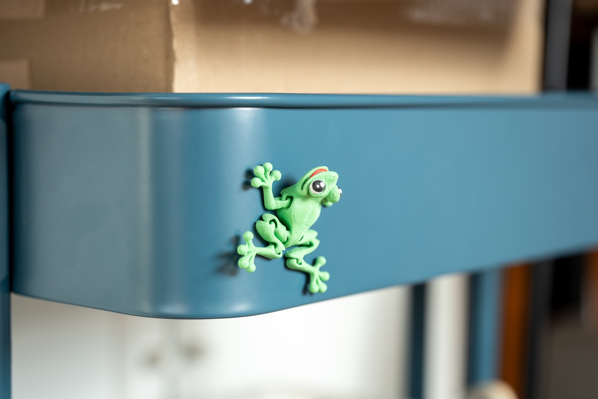 Spollio Grenouille aimantee 6