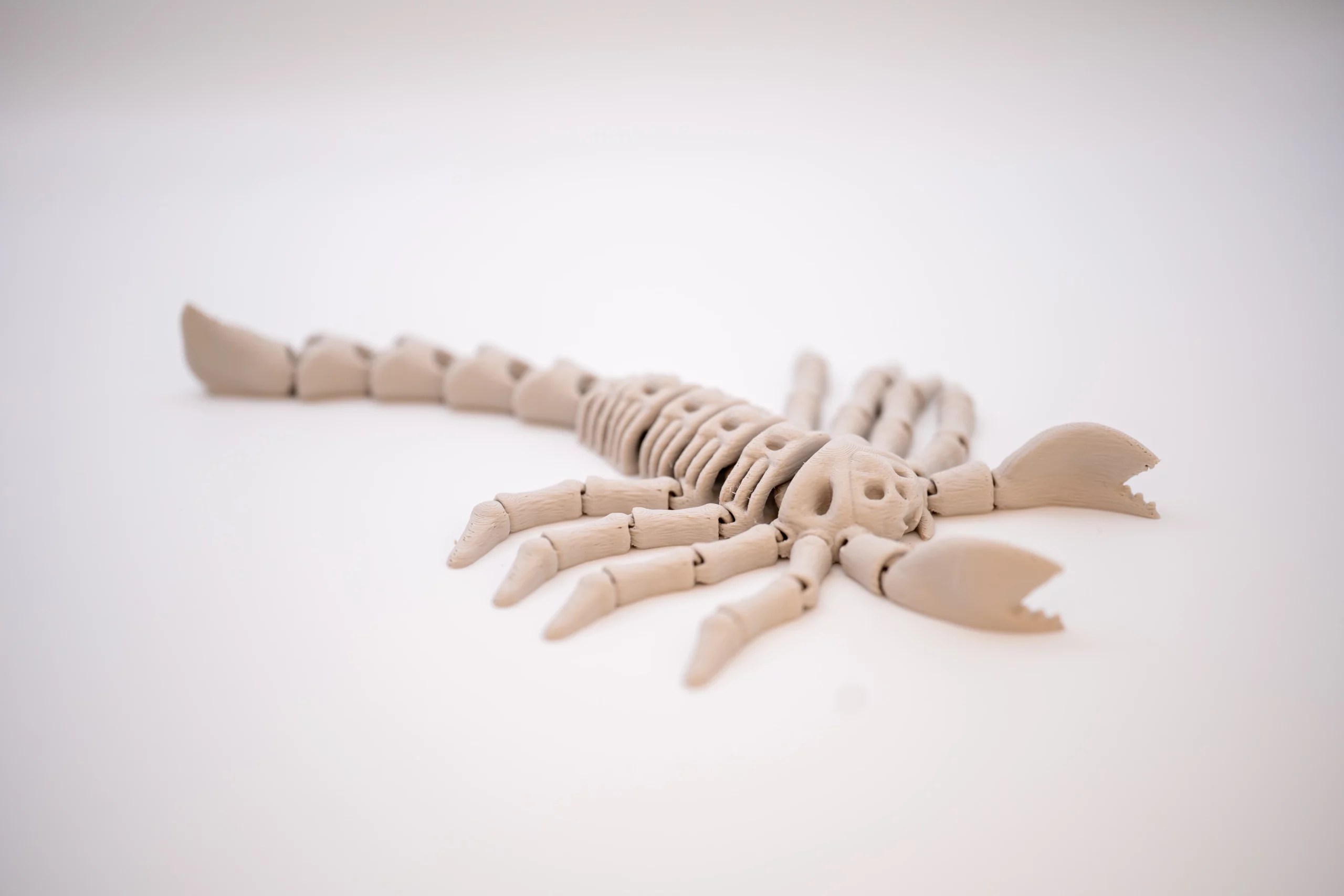 Spoolio Scorpion articule 1