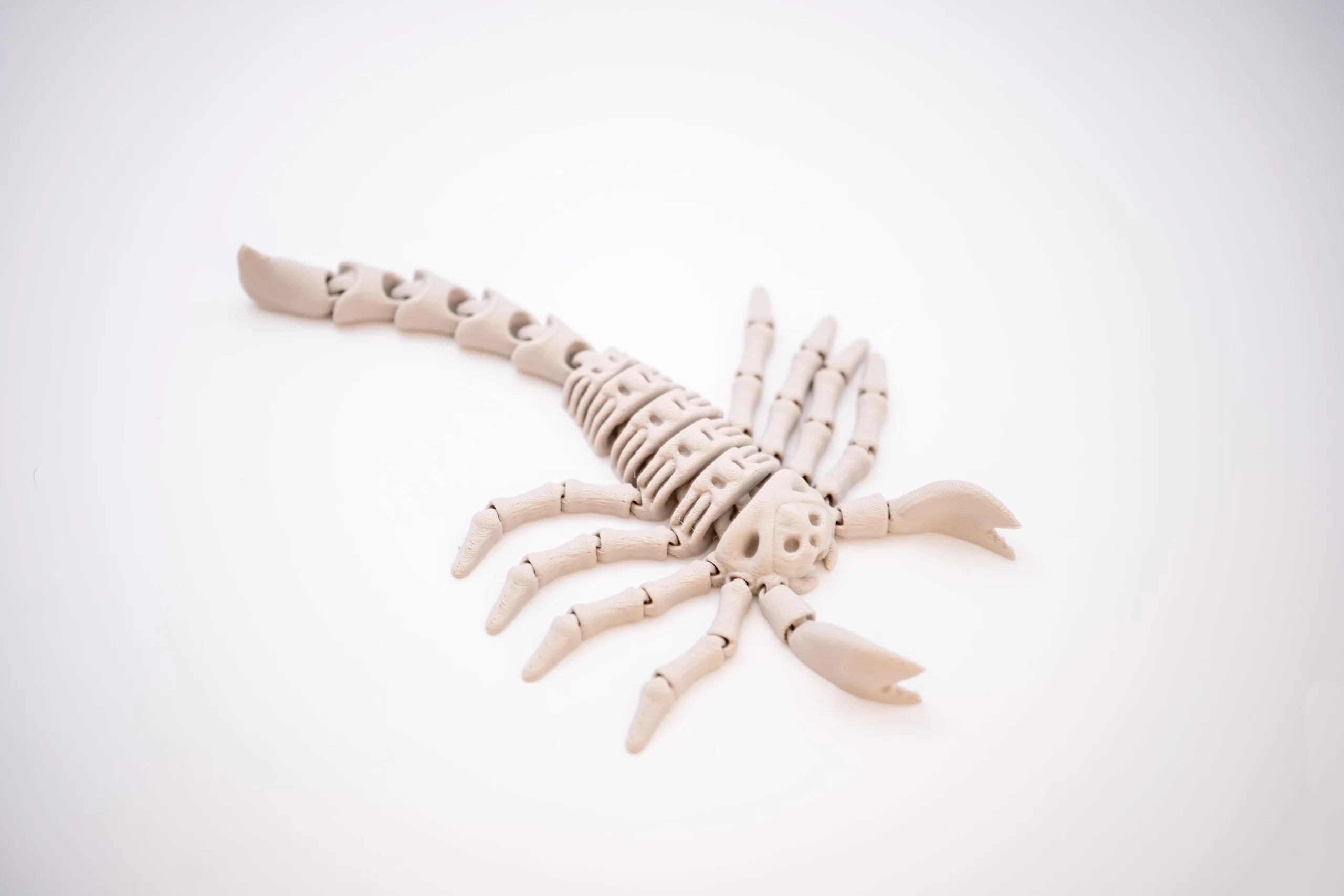 Spoolio Scorpion articule 3
