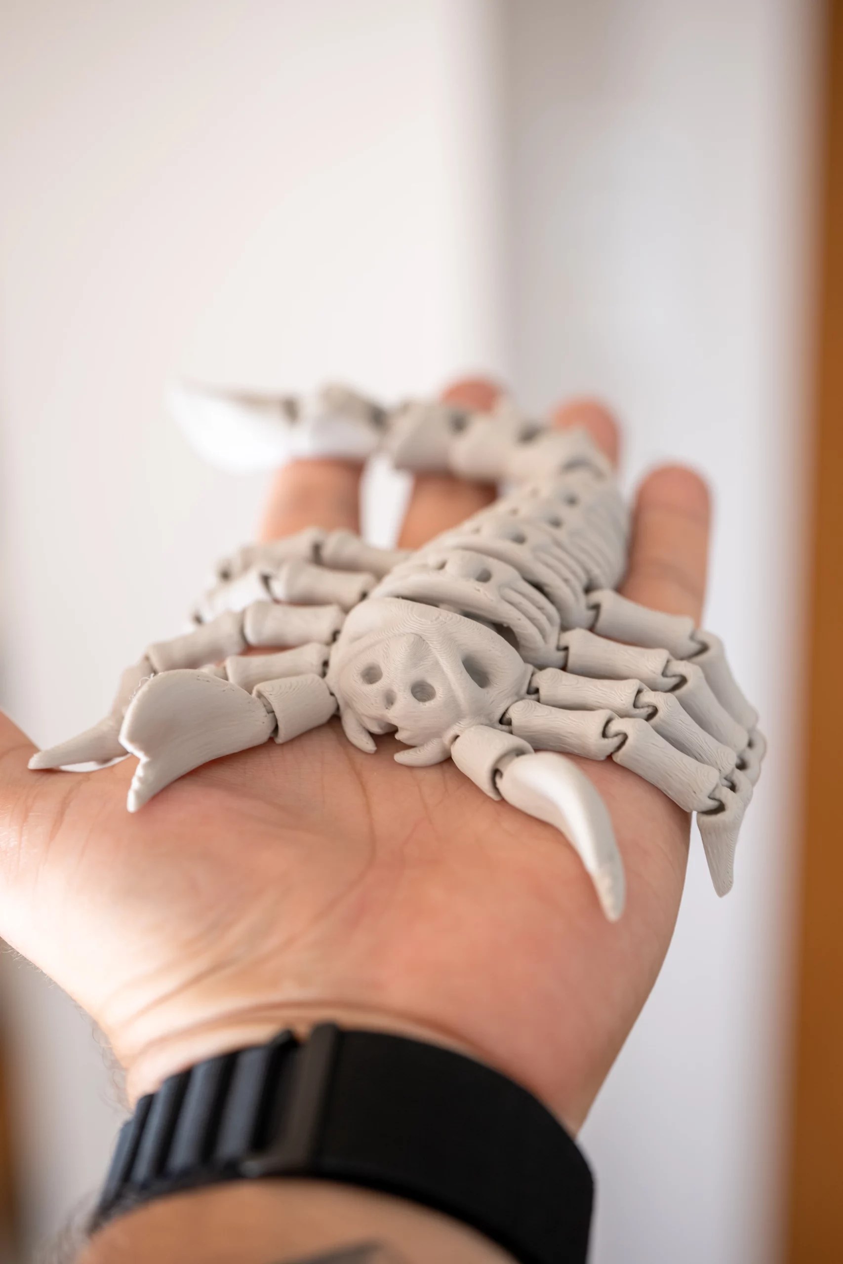 Spoolio Scorpion articule 9