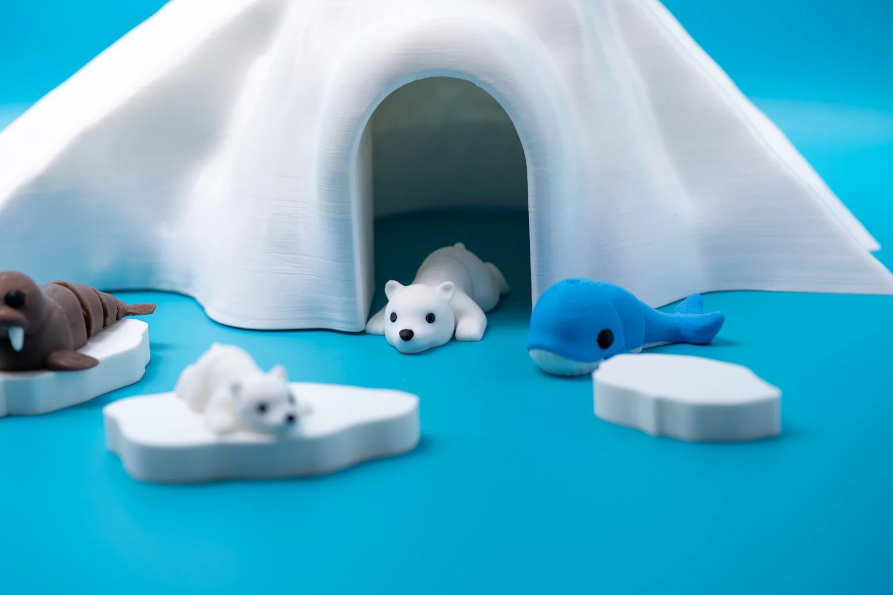 Spoolio animaux banquise 15
