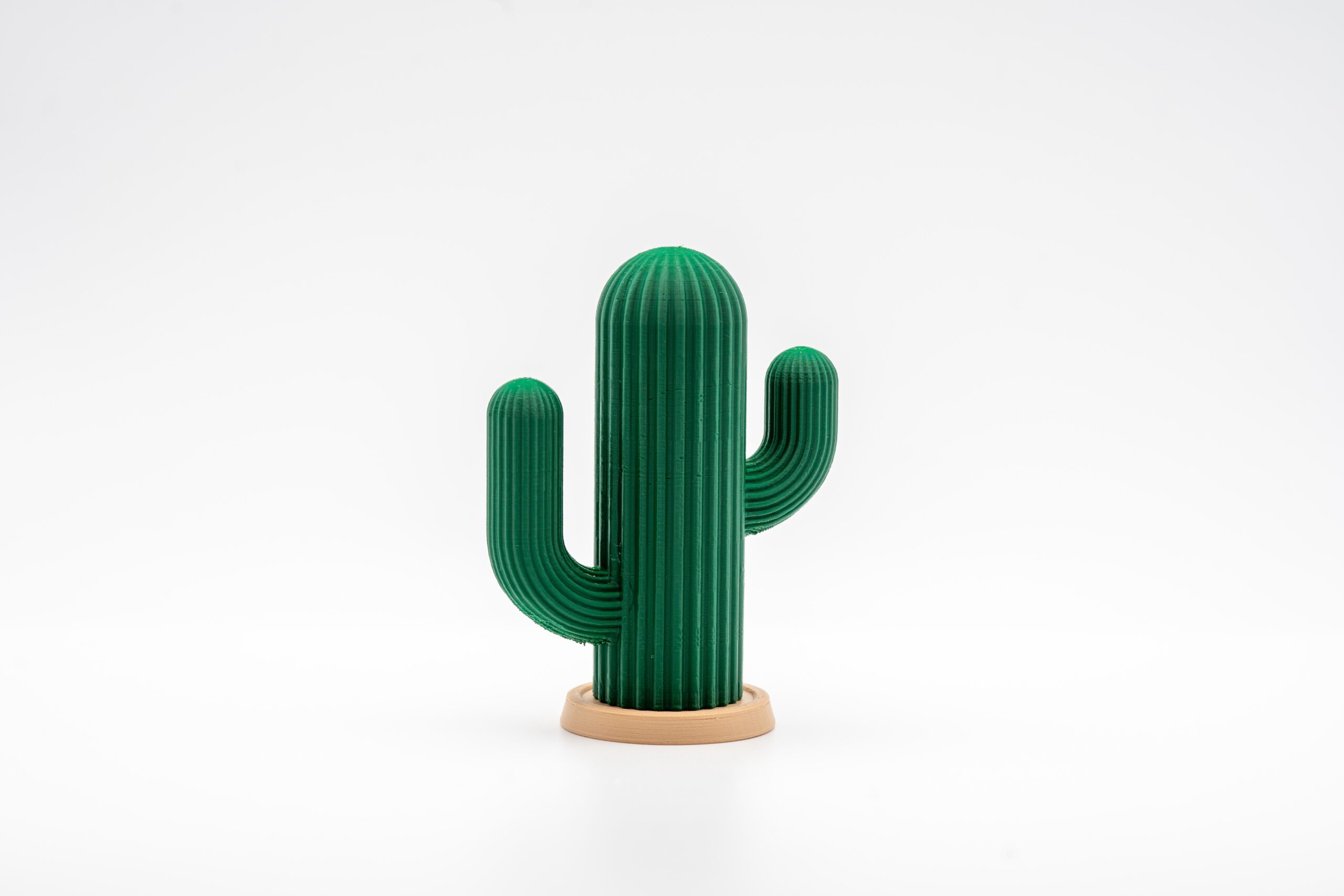 Spoolio Cactus cure dent 1