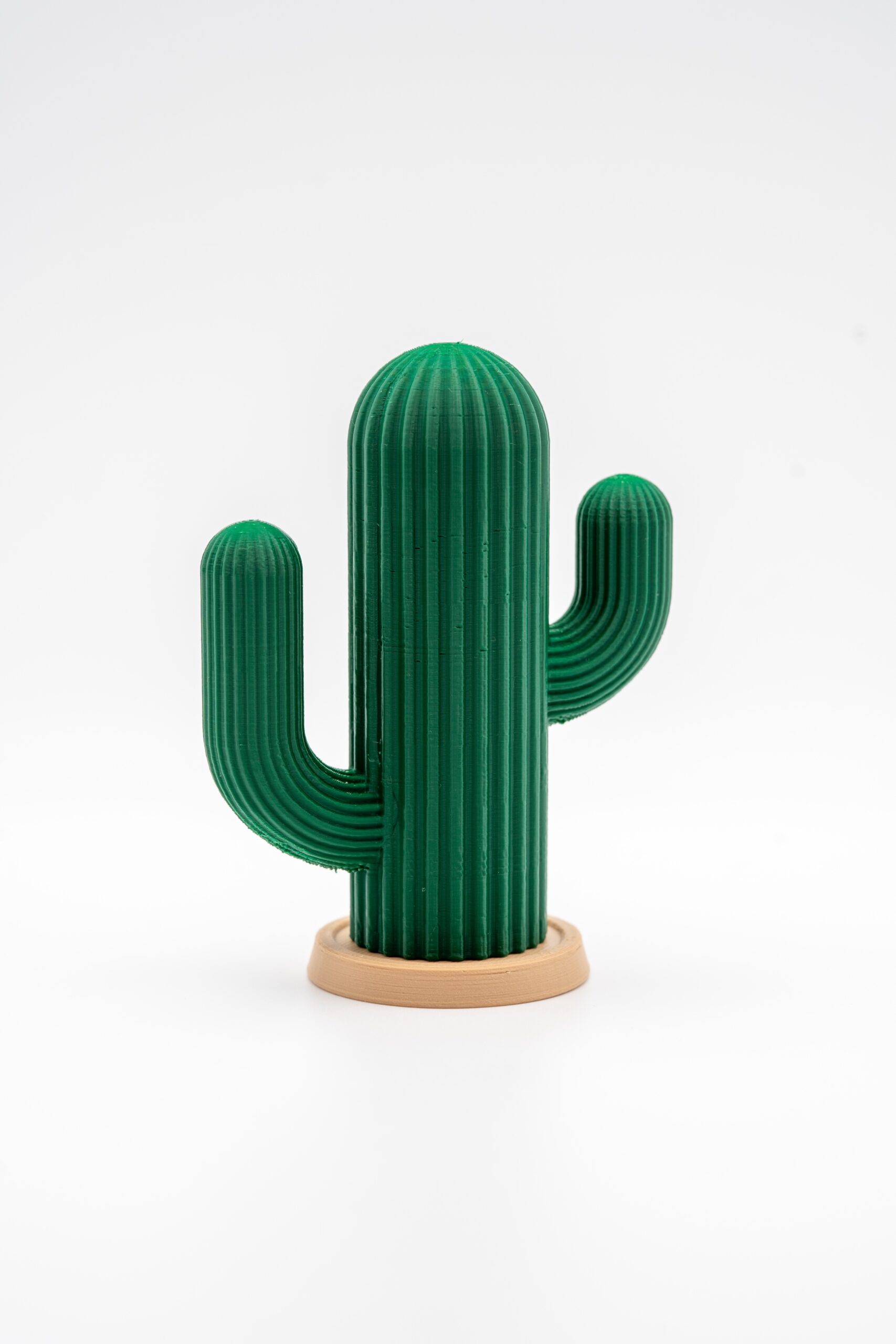 Spoolio Cactus cure dent 2