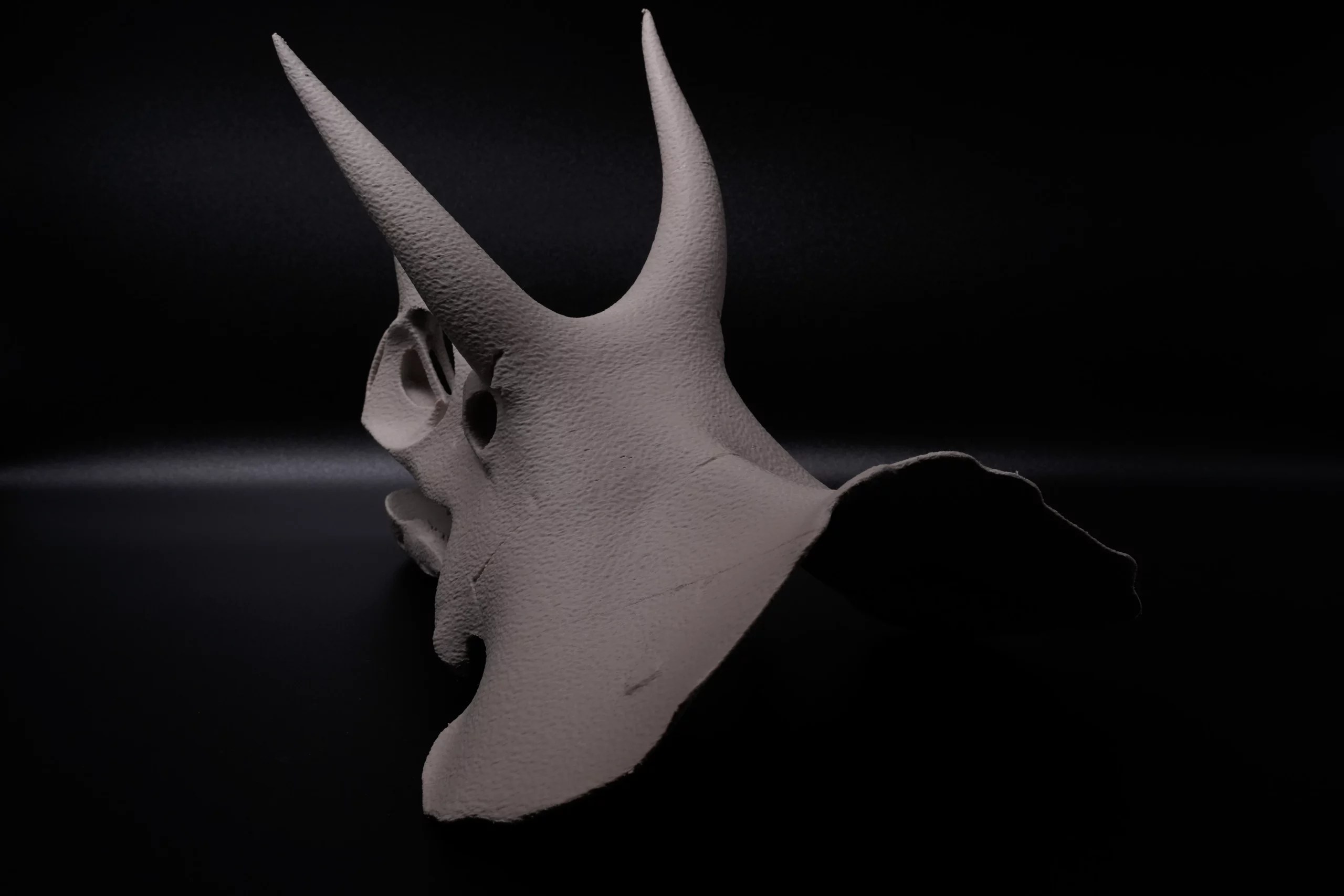 Spoolio CraneDinosaure 13