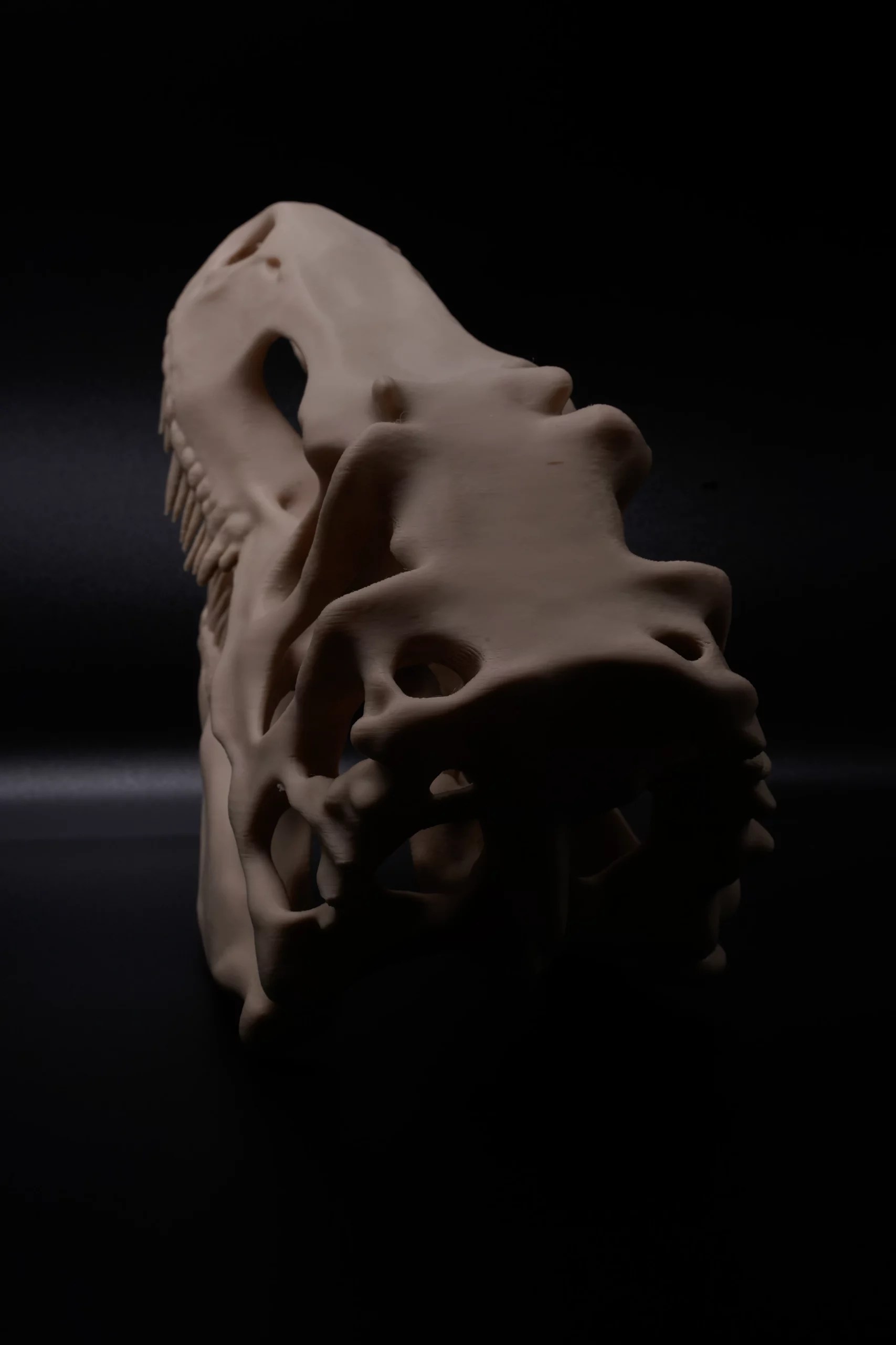 Spoolio CraneDinosaure 6